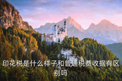 稅花什么樣，印花稅是什么樣子和普通稅費收據(jù)有區(qū)別嗎