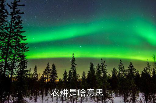 農(nóng)業(yè)機(jī)耕是什么意思，東機(jī)耕是什么