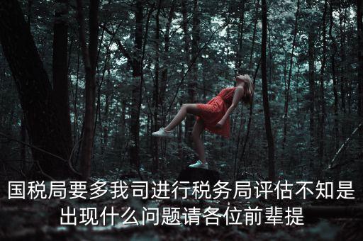 國(guó)稅評(píng)估局是干什么的，國(guó)稅局是做什么的說(shuō)簡(jiǎn)單點(diǎn)兒吧謝謝