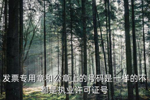 公章和發(fā)票章號碼是什么，發(fā)票專用章和公章上的號碼是一樣的不都是執(zhí)業(yè)許可證號