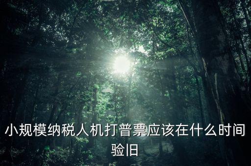 小規(guī)模納稅人機(jī)打普票應(yīng)該在什么時間驗舊