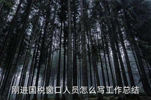 在國稅上班有什么感想，我是合同員工到國稅局上班一個月心得體會