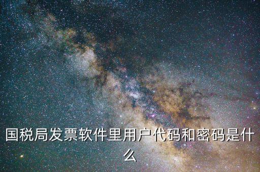 發(fā)票認(rèn)證平臺(tái)登錄密碼是什么情況，國(guó)稅局發(fā)票軟件里用戶代碼和密碼是什么