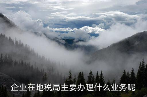 廣州地稅辦理什么業(yè)務(wù)，廣州稅務(wù)登記