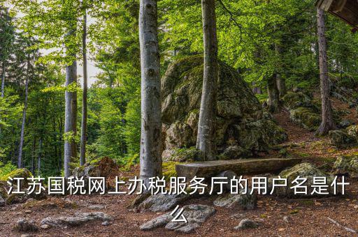 江蘇國稅用戶名密碼是什么意思，江蘇國稅網(wǎng)上辦稅服務(wù)廳的用戶名是什么