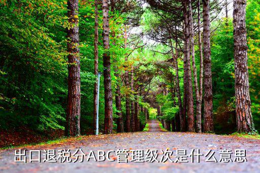 稅收級次是什么意思，稅收執(zhí)法的級次是什么