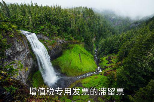 滯留票核查工作是干什么的，稅務局會查到期未抵扣的滯留增值稅專用發(fā)票嗎用來查帳外帳