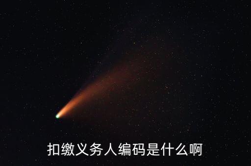 江西扣繳義務(wù)人編碼是什么，扣繳義務(wù)人編碼是什么號它和納稅人識別號是一個(gè)號嗎