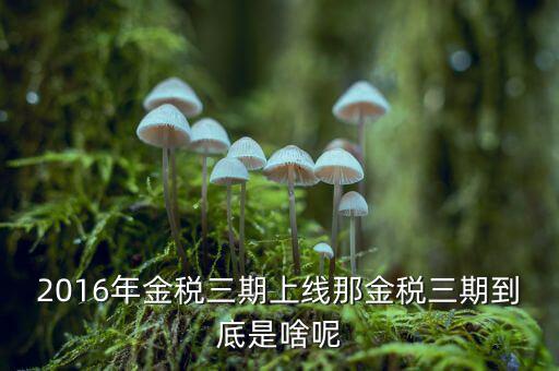 金稅三期雙軌是什么，金稅三期是什么意思