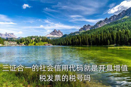 三證合一的社會(huì)信用代碼就是開具增值稅發(fā)票的稅號(hào)嗎