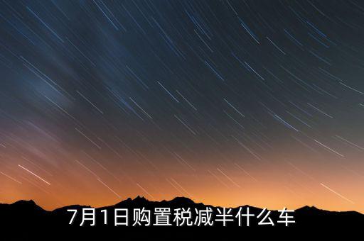 車稅減半針對什么車，101以后購車附加費減半 包含哪些車型