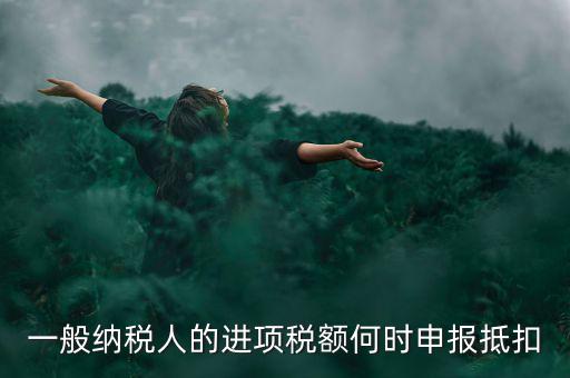 一般納稅人的進(jìn)項(xiàng)稅額何時(shí)申報(bào)抵扣