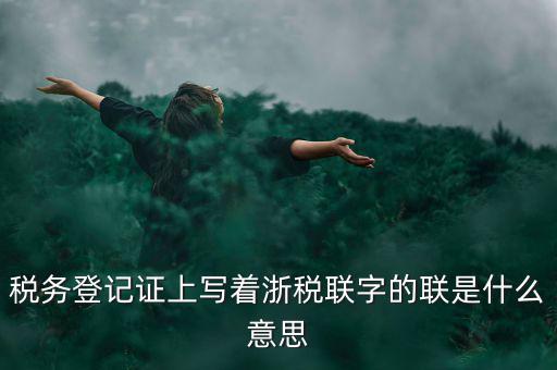 稅務(wù)全國(guó)聯(lián)網(wǎng)是什么意思，稅務(wù)登記證上寫著浙稅聯(lián)字的聯(lián)是什么意思