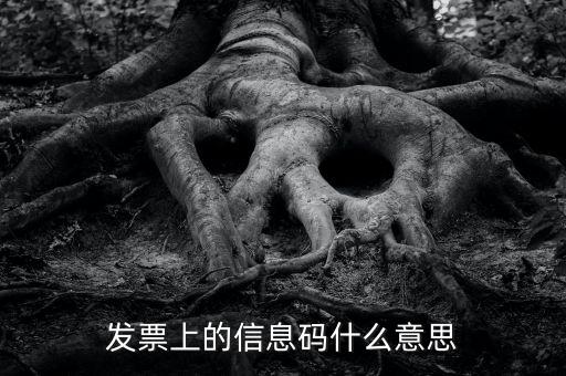 發(fā)票的查詢碼是什么意思啊，發(fā)票上的信息碼什么意思