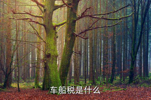摩托車車船稅是什么，摩托車也收車船稅嗎