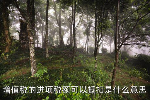進項抵扣是什么，增值稅的進項稅額可以抵扣是什么意思