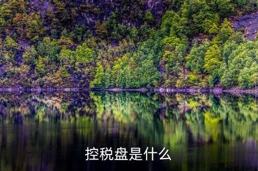 什么是金稅盤 什么是稅控盤，稅控盤的介紹