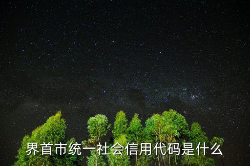 統(tǒng)一社會(huì)信用代碼指什么，深圳碼統(tǒng)一社會(huì)信用代碼是什么