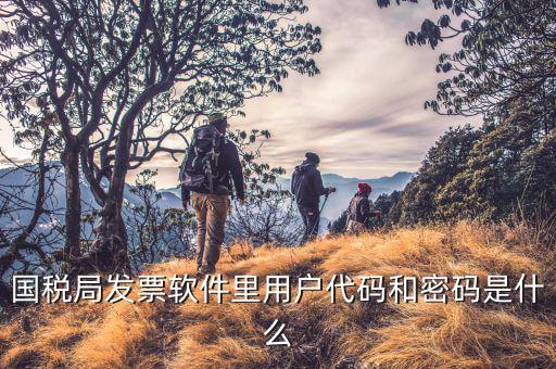 網(wǎng)絡(luò)開票系統(tǒng)默認密碼是什么，國稅局發(fā)票軟件里用戶代碼和密碼是什么