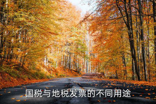 國(guó)稅與地稅發(fā)票的不同用途