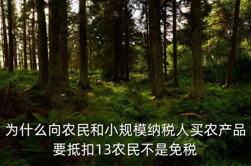 農(nóng)產(chǎn)品為什么要扣除，為什么向農(nóng)民和小規(guī)模納稅人買農(nóng)產(chǎn)品要抵扣13農(nóng)民不是免稅