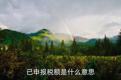 申報(bào)出現(xiàn)在什么，教師資格證認(rèn)定網(wǎng)上申報(bào)出現(xiàn)object是什么情況