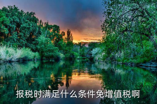 什么情況免征增值稅，哪些屬于免征增值稅