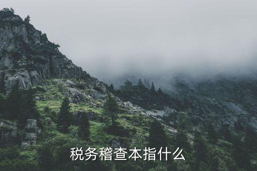 什么叫稅務(wù)稽查檢查科臺帳范本，稅務(wù)稽查本指什么