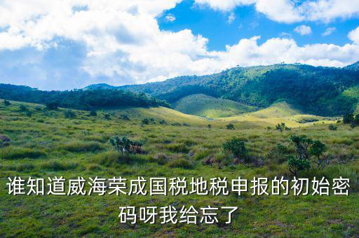 山東默認(rèn)國稅密碼是什么，登錄國稅網(wǎng)上辦稅服務(wù)廳的用戶名和密碼是什么