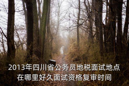 2016年四川地稅資格復(fù)審什么時候，大概什么時候資格復(fù)審啊