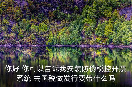 稅控發(fā)行是要做什么，稅控盤發(fā)行都呆哪些東西去稅務(wù)局需要法人去嗎