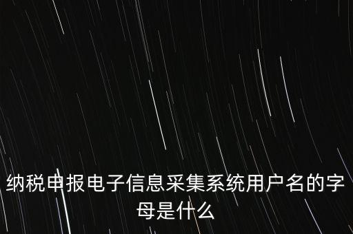 江蘇國稅電子稅務(wù)局登錄用戶名是什么意思，江蘇國稅網(wǎng)上辦稅服務(wù)廳的用戶名是什么