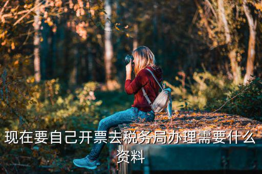 自己開專票要什么資料，開個(gè)人增值稅發(fā)票需要什么資料