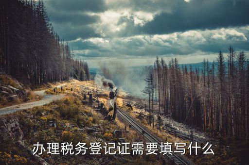 稅務登記地址填什么，填寫稅務登記地址是證件上的經營地址還是批準設立機關的地址