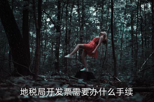 地稅申領(lǐng)發(fā)票需要什么手續(xù)，申請地稅發(fā)票需要什么資料