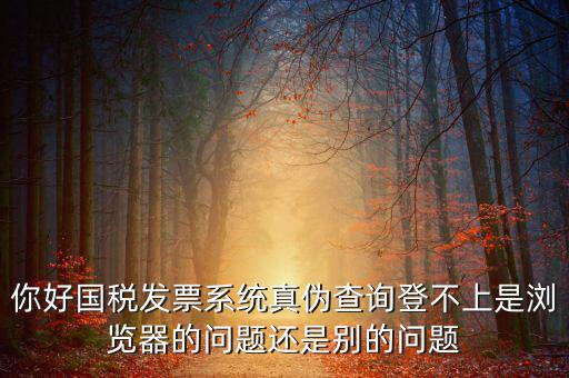 國(guó)稅登不上什么情況，為什么稅號(hào)密碼都對(duì)還是無法登錄國(guó)稅
