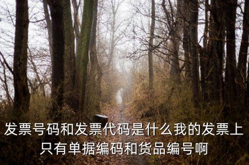 發(fā)票結(jié)存號碼是什么，發(fā)票號碼是指哪個號碼