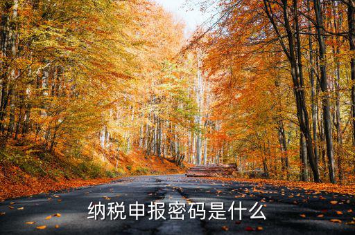 怎樣查地稅密碼是什么，稅務(wù)數(shù)字證書密碼忘記或鎖定如何解決