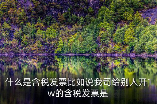 什么行業(yè)一般人發(fā)票含稅，什么類納稅人可以開增值稅專用發(fā)票