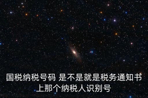 國稅稅務(wù)號是什么意思，國稅納稅號碼 是不是就是稅務(wù)通知書上那個納稅人識別號
