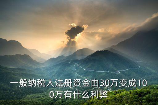 什么是案頭審核，一般納稅人注冊資金由30萬變成100萬有什么利弊