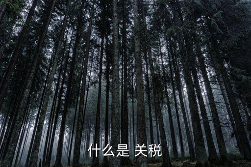 什么是國境關稅，關稅是什么