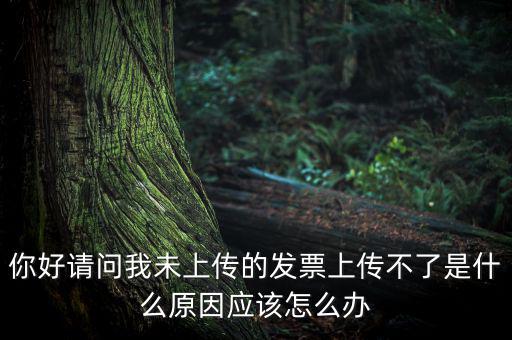發(fā)票沒(méi)上傳什么意思，發(fā)票系統(tǒng)顯示O張未上傳發(fā)票可是在查不到提示查無(wú)此票怎么回