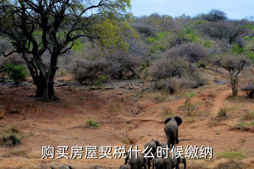 鶴壁契稅什么時候交，什么時間繳納契稅