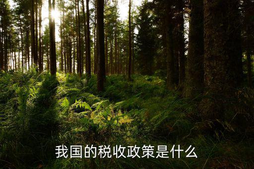 稅收屬于什么政策，我國的稅收政策是什么