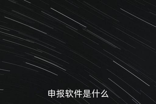 增值稅申報用什么軟件，申報軟件是什么