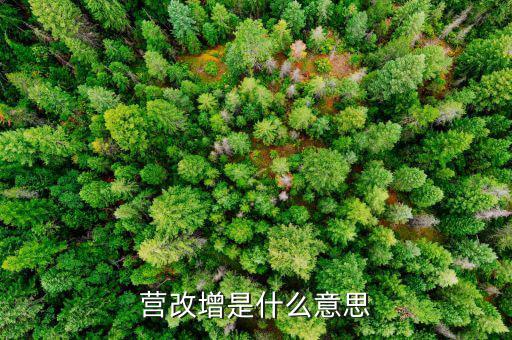 什么是營(yíng)改增發(fā)票，營(yíng)改增是什么意思