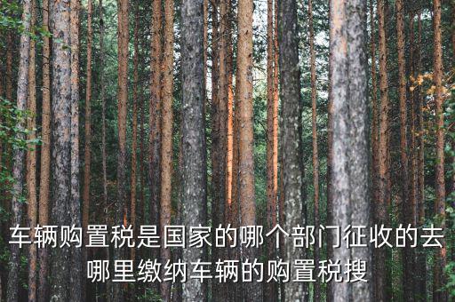 車購(gòu)稅局屬于什么，車輛購(gòu)置稅是國(guó)家的哪個(gè)部門征收的去哪里繳納車輛的購(gòu)置稅搜