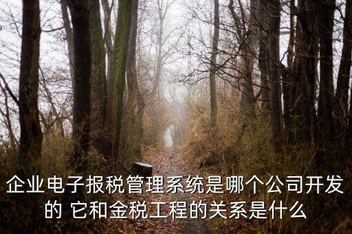 企業(yè)電子報(bào)稅管理系統(tǒng)是哪個(gè)公司開發(fā)的 它和金稅工程的關(guān)系是什么