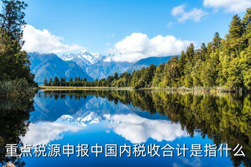 重點稅源填了有什么用，我的電腦重裝后重點稅源以前數(shù)據(jù)怎么查詢